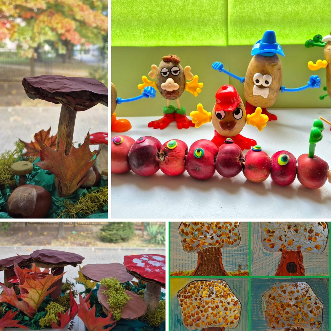Zbiór zdjęć wykonanych podczas zajęć i aktywności w miesiącach: wrzesień, październik, listopad
