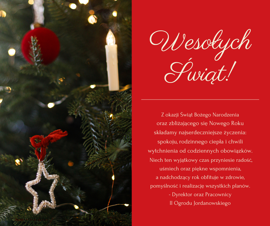 Grafika z życzeniami świątecznymi